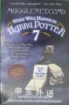 What Will Happen in Harry Potter 7 Ben Schoen
