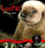 Lootas Little Wave Eater: An Orphaned Sea Otters Story