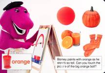 Barneys Color Surprise