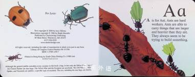 The Icky Bug Alphabet Board Book