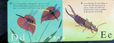 The Icky Bug Alphabet Board Book