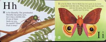 The Icky Bug Alphabet Board Book