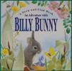 立体书An Adventure with Billy Bunny (Peek and Find 