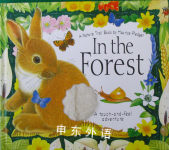 In the Forest: A Nature Trail Book Maurice Pledger Nature Trails Silver Dolphin Books