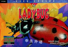 Ladybug David M Schwartz