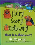 Hairy Scary Ordinary What Is an Adjective Brian P Cleary