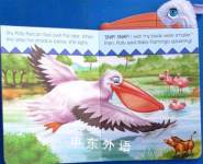 Polly Pelican And Her Big Beak Snappy Head Books