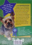 Yorkshire Terriers Are the Best!