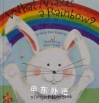 What Makes a Rainbow? A Magic Ribbon Book Betty Ann Schwartz