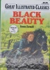 Great Illustrated Classics:Black Beauty