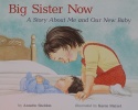 Big Sister Now: A Story About Me And Our New Baby