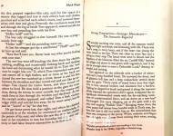 THE ADVENTURES OF TOM SAWYER