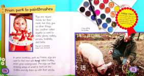 Pigs Down on the Farm