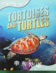 Tortoises and Turtles Sally Morgan