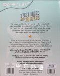 Tortoises and Turtles