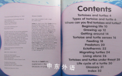 Tortoises and Turtles