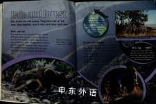 Rain Forests