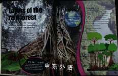 Rain Forests