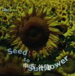 Seed to Sunflower Camilla de la Bedoyere