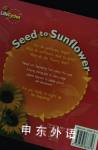 Seed to Sunflower