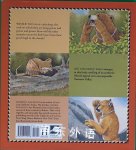 Two Bear Cubs: A Miwok Legend from California's Yosemite Valley
