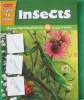 Learn to draw Insects