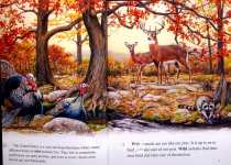 Wild Animals of the United States