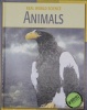 Animals (Real World Science)