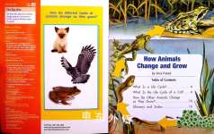 How Animals Change and Grow