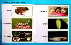 How Animals Change and Grow