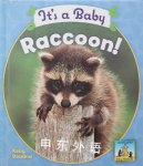 It's a Baby Raccoon (Baby Mammals) Kelly Doudna
