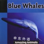 Blue Whales Angela Royston