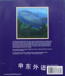 Ocean Hide and Seek