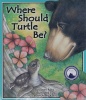 Where Should Turtle Be?