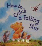 How to Catch A Falling Star Heidi
