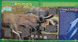 TIME FOR KIDS BOOK OF HOW ALL ABOUT ANIMALS