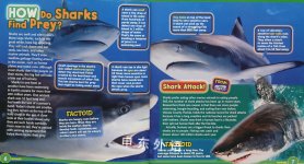 TIME FOR KIDS BOOK OF HOW ALL ABOUT ANIMALS