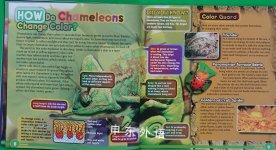 TIME FOR KIDS BOOK OF HOW ALL ABOUT ANIMALS