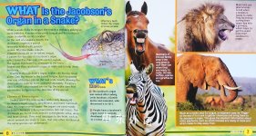 Everything Animals (TIME for Kids Book of WHAT)