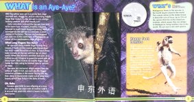 Everything Animals (TIME for Kids Book of WHAT)