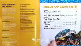 Coral Reef Food Chains