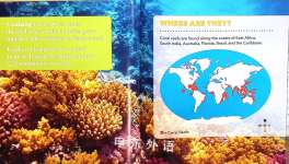 Coral Reef Food Chains
