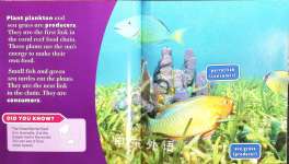 Coral Reef Food Chains