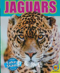 Jaguar (Animals on the Brink) E Melanie Watt
