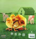 Baby Animals on the Farm