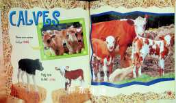 Baby Animals on the Farm