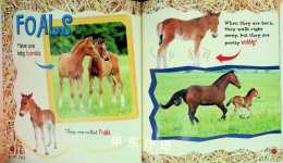 Baby Animals on the Farm