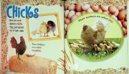 Baby Animals on the Farm