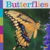 Butterflies (Seedlings)