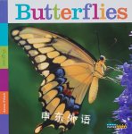 Butterflies (Seedlings) Aaron Frisch